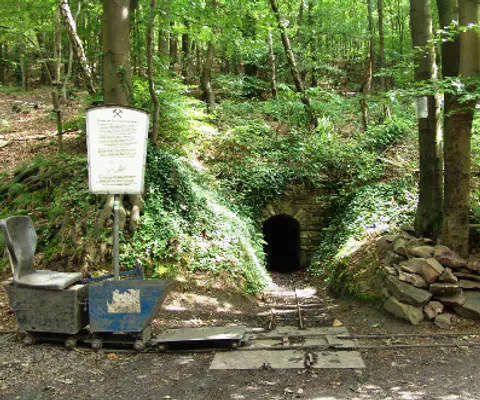 Stollenmundloch im Wald