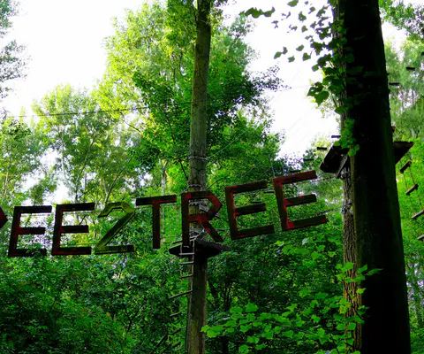 Überblick über den Waldhochseilgarten mit markantem Parcours-Element