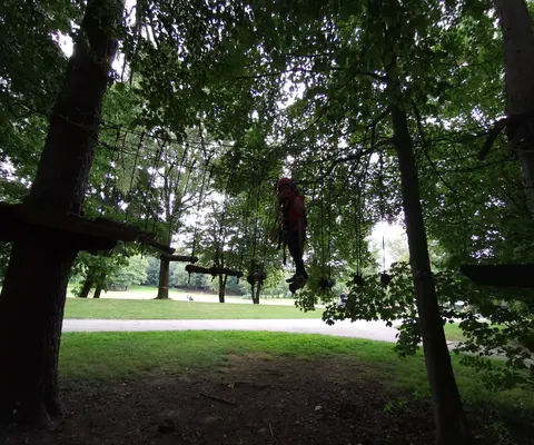 Eine junge Person balanciert auf dem Seilparcours im Wald