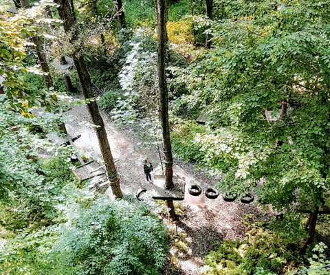 Blick von oben auf Laufstege und Hindernisse im Hochseilgarten