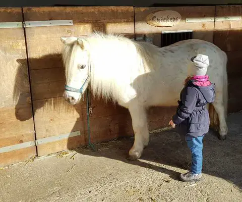 Ein Kind steht neben einem weißen Pony im Stalllicht.