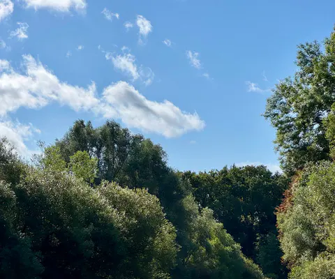 Kanus fahren ruhig auf der Lippe durch grünes Uferlicht.