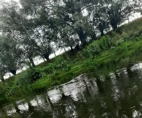 Kanu fährt auf der Lippe durch eine naturnahe Flusslandschaft.
