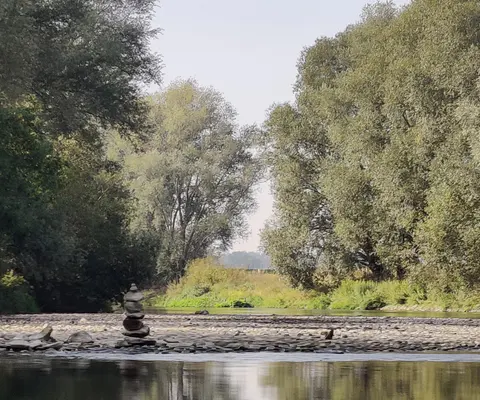 Ruhige Flussoberfläche mit weitem Blick auf die Natur am Ufer.