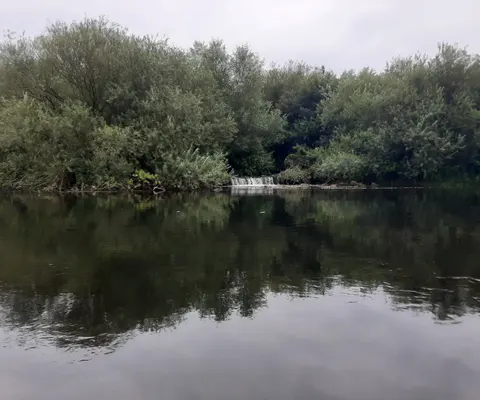 Die Lippe fließt an dichtem Ufergrün entlang.