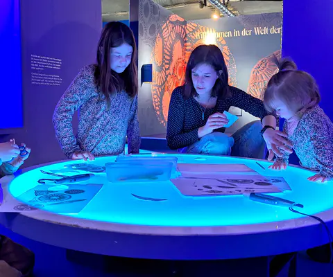 Mehrere Personen arbeiten an einem Leuchttisch im dunkleren Ausstellungsraum.