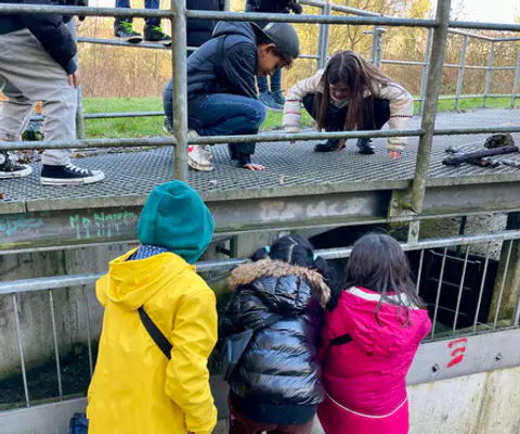 Mehrere Kinder schauen über ein Metallgitter in eine Öffnung hinunter.
