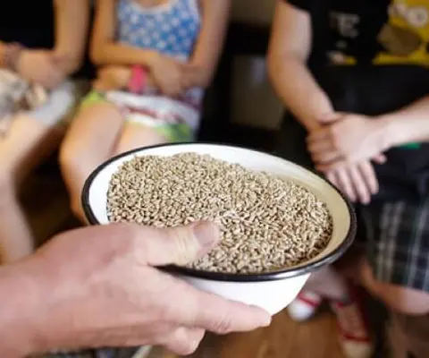 Eine Hand hält eine Schale mit Körnern vor sitzende Kinder.