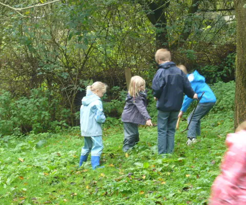 Vier Kinder stehen auf einer grünen Lichtung zwischen dichten Büschen.