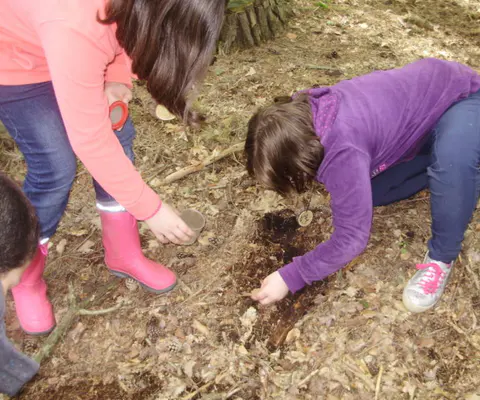 Zwei Kinder knien am Waldboden und untersuchen die Erde.