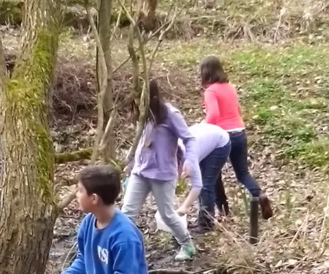 Drei Kinder sammeln an einem Bach in einem Waldgebiet etwas in Behältern.