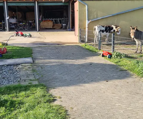 Blick auf einen Ponyhof mit Tieren und Stallbereich