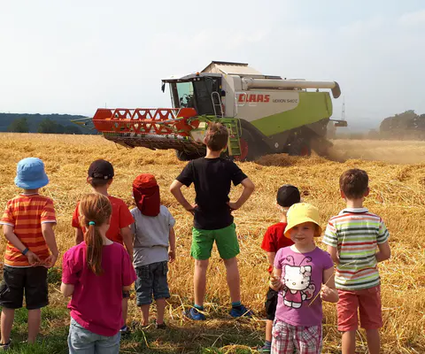 Kinder schauen auf einen Mähdrescher auf einem Stoppelfeld.