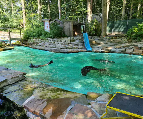 Eine ruhige Zooanlage mit Wasserfläche im Querformat.